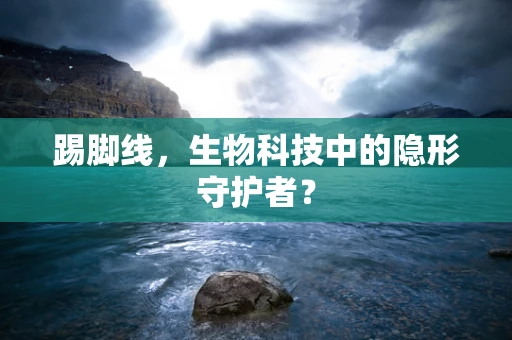 踢脚线，生物科技中的隐形守护者？