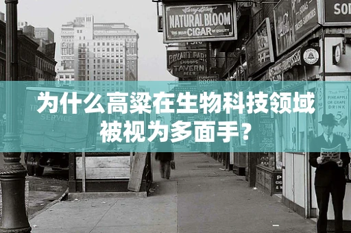 为什么高粱在生物科技领域被视为多面手？