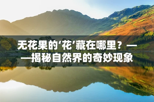 无花果的‘花’藏在哪里？——揭秘自然界的奇妙现象