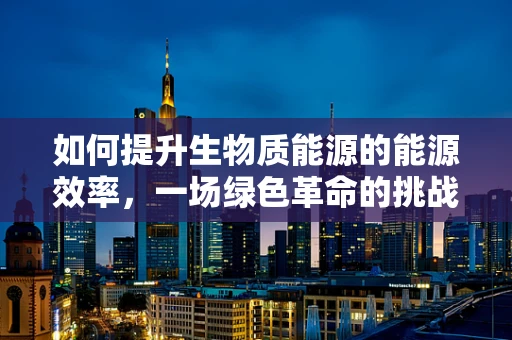 如何提升生物质能源的能源效率，一场绿色革命的挑战