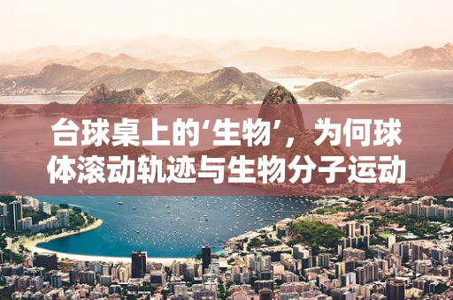 台球桌上的‘生物’，为何球体滚动轨迹与生物分子运动相似？