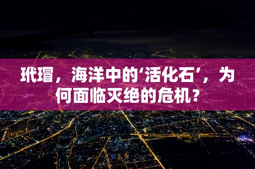 玳瑁，海洋中的‘活化石’，为何面临灭绝的危机？