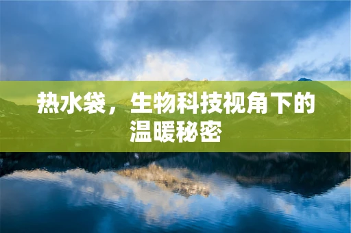 热水袋，生物科技视角下的温暖秘密