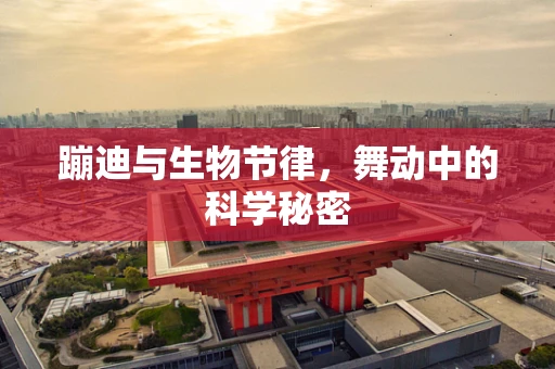 蹦迪与生物节律，舞动中的科学秘密