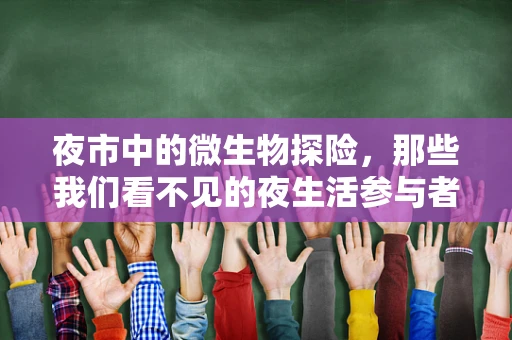夜市中的微生物探险，那些我们看不见的夜生活参与者