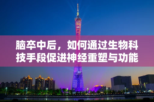 脑卒中后，如何通过生物科技手段促进神经重塑与功能恢复？