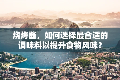 烧烤酱，如何选择最合适的调味料以提升食物风味？