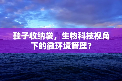 鞋子收纳袋，生物科技视角下的微环境管理？