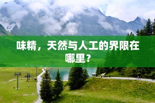 味精，天然与人工的界限在哪里？