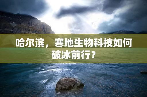 哈尔滨，寒地生物科技如何破冰前行？