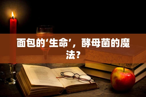 面包的‘生命’，酵母菌的魔法？