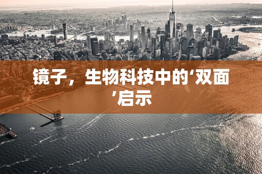 镜子，生物科技中的‘双面’启示