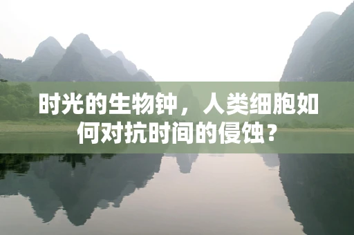 时光的生物钟，人类细胞如何对抗时间的侵蚀？