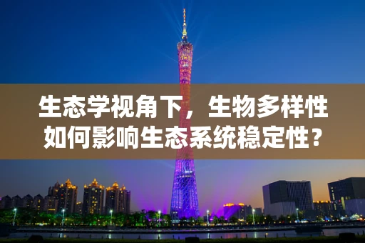 生态学视角下，生物多样性如何影响生态系统稳定性？