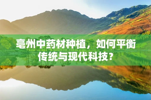 亳州中药材种植，如何平衡传统与现代科技？