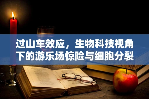 过山车效应，生物科技视角下的游乐场惊险与细胞分裂的隐喻