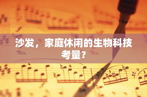 沙发，家庭休闲的生物科技考量？