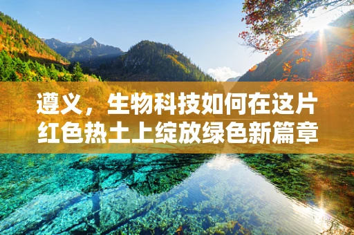 遵义，生物科技如何在这片红色热土上绽放绿色新篇章？
