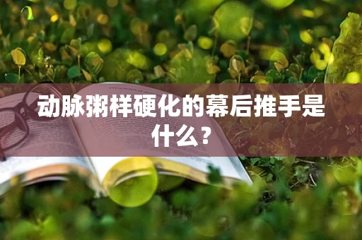 动脉粥样硬化的幕后推手是什么？