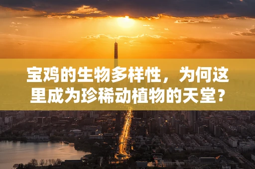 宝鸡的生物多样性，为何这里成为珍稀动植物的天堂？