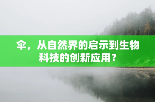 伞，从自然界的启示到生物科技的创新应用？