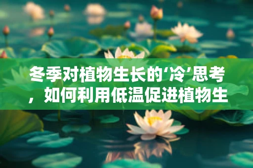 冬季对植物生长的‘冷’思考，如何利用低温促进植物生物技术进步？