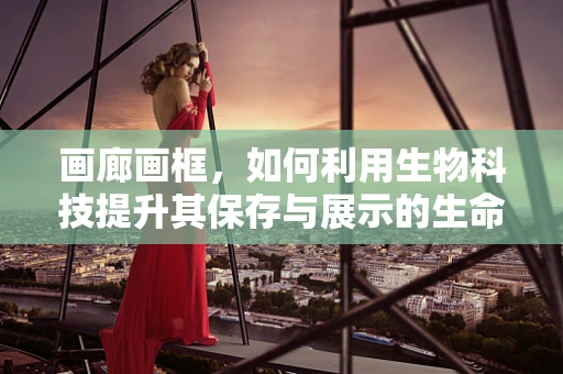 画廊画框，如何利用生物科技提升其保存与展示的生命力？