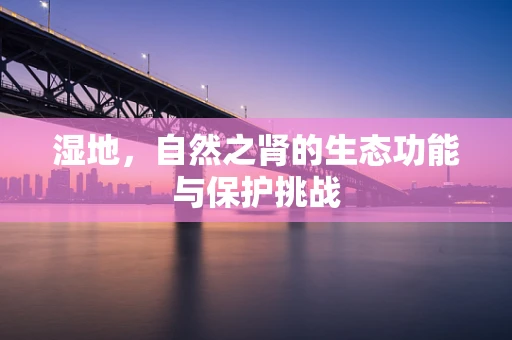湿地，自然之肾的生态功能与保护挑战