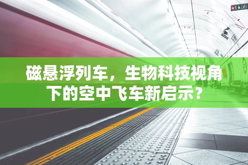 磁悬浮列车，生物科技视角下的空中飞车新启示？