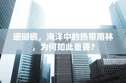 珊瑚礁，海洋中的热带雨林，为何如此重要？