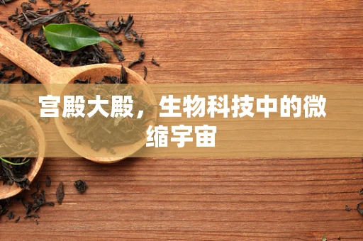 宫殿大殿，生物科技中的微缩宇宙