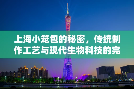 上海小笼包的秘密，传统制作工艺与现代生物科技的完美融合
