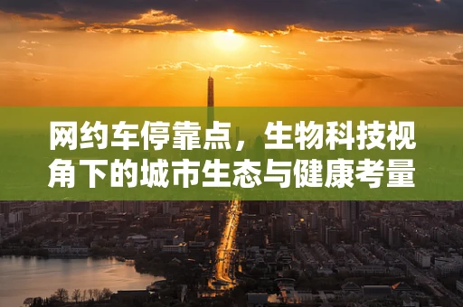 网约车停靠点，生物科技视角下的城市生态与健康考量