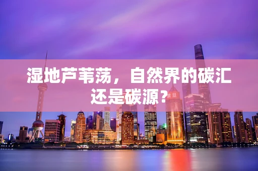 湿地芦苇荡，自然界的碳汇还是碳源？