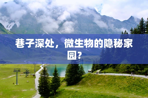 巷子深处，微生物的隐秘家园？