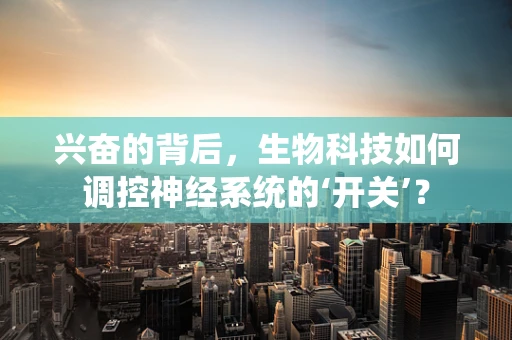兴奋的背后，生物科技如何调控神经系统的‘开关’？