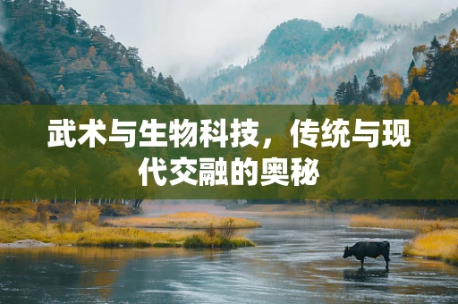 武术与生物科技，传统与现代交融的奥秘