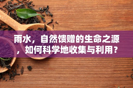 雨水，自然馈赠的生命之源，如何科学地收集与利用？