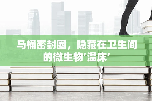 马桶密封圈，隐藏在卫生间的微生物‘温床’