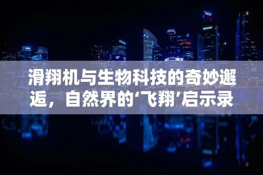 滑翔机与生物科技的奇妙邂逅，自然界的‘飞翔’启示录