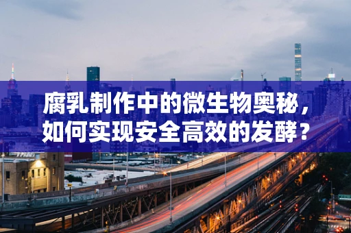 腐乳制作中的微生物奥秘，如何实现安全高效的发酵？