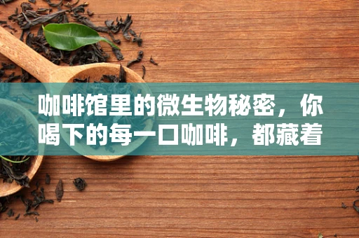 咖啡馆里的微生物秘密，你喝下的每一口咖啡，都藏着什么？