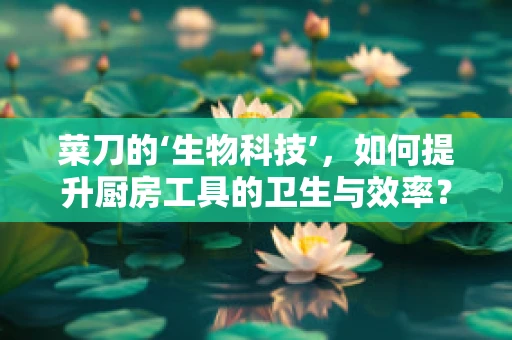 菜刀的‘生物科技’，如何提升厨房工具的卫生与效率？