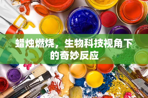 蜡烛燃烧，生物科技视角下的奇妙反应