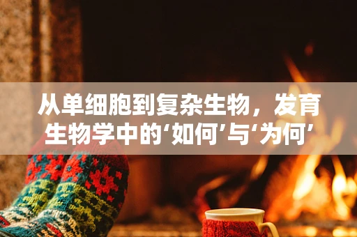 从单细胞到复杂生物，发育生物学中的‘如何’与‘为何’？