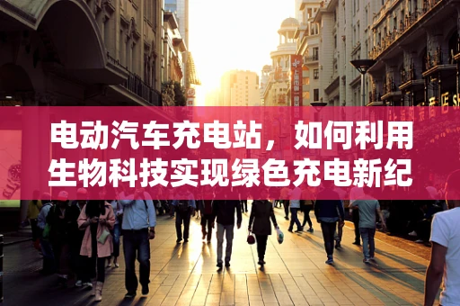 电动汽车充电站，如何利用生物科技实现绿色充电新纪元？