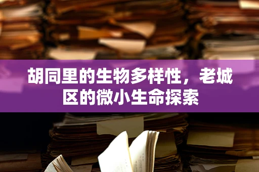 胡同里的生物多样性，老城区的微小生命探索