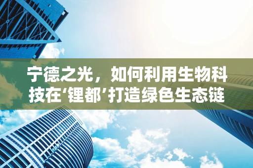 宁德之光，如何利用生物科技在‘锂都’打造绿色生态链？