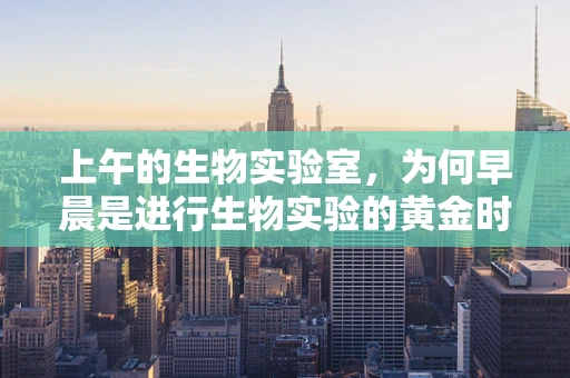 上午的生物实验室，为何早晨是进行生物实验的黄金时段？