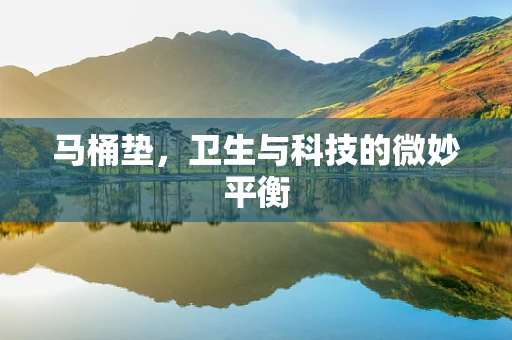 马桶垫，卫生与科技的微妙平衡